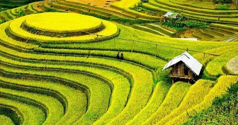 Leo núi trượt chân, bản thân thoát nạn nhưng lại làm chết 3 người bên cạnh